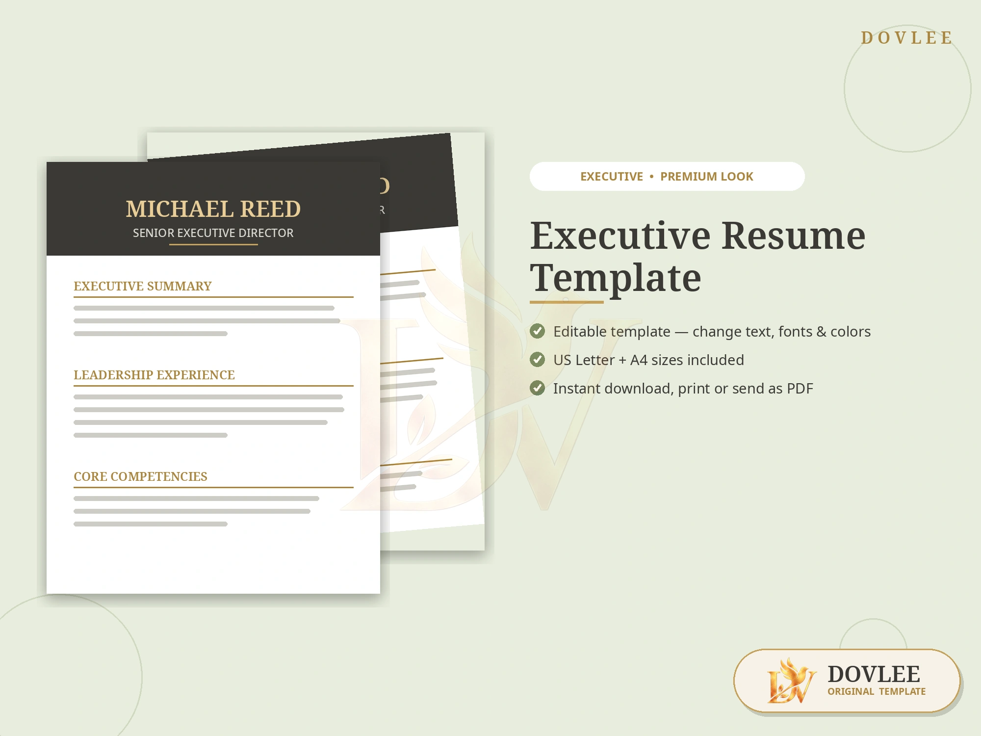 Executive Resume Template styled digital product preview
