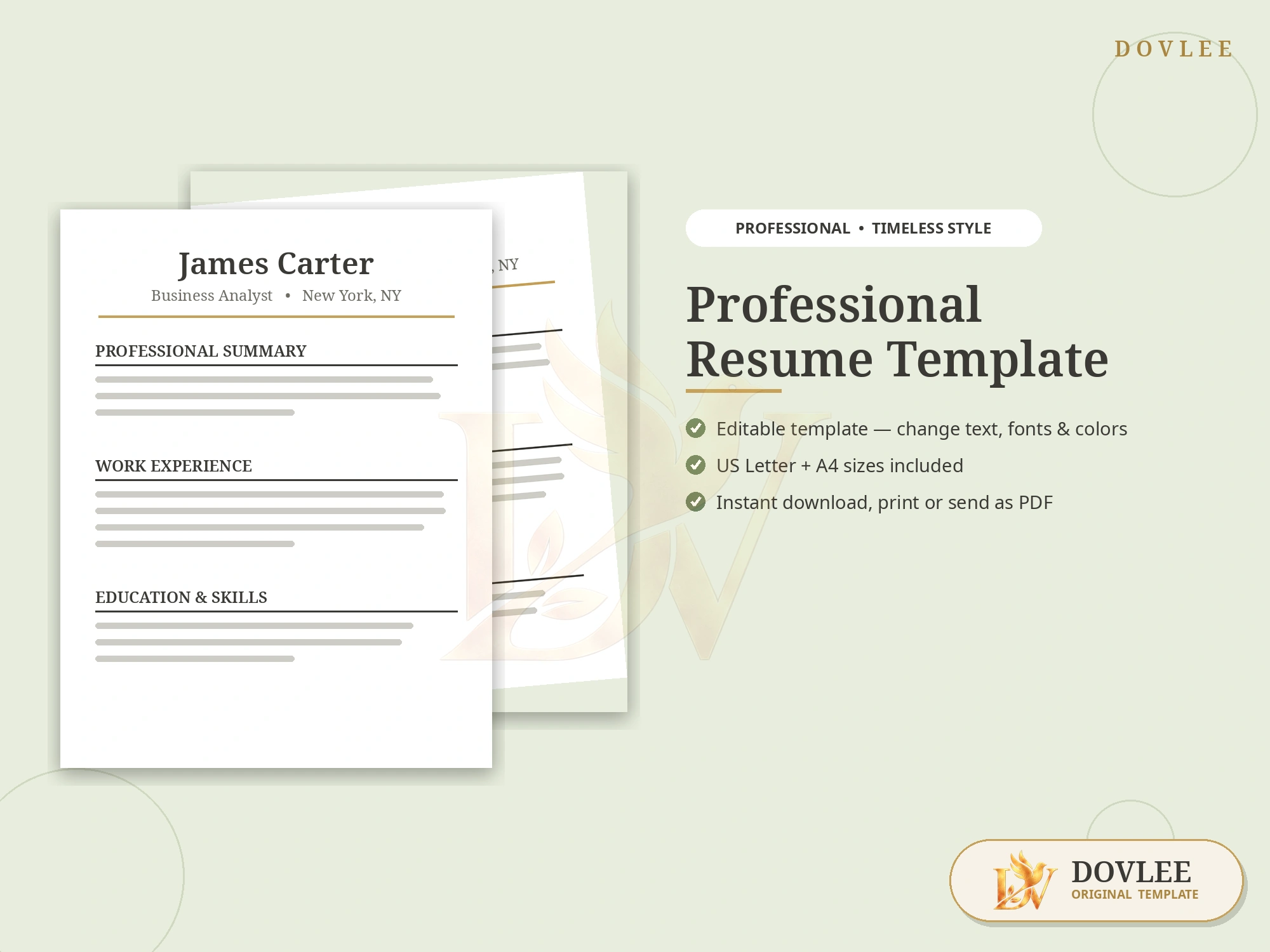 Professional Resume Template styled digital product preview